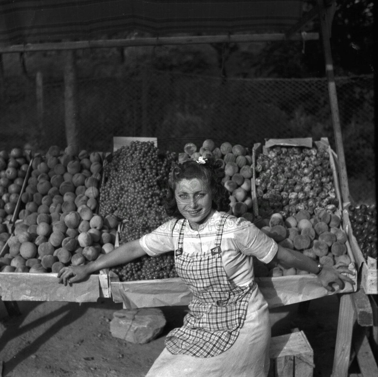 Fruttivendola