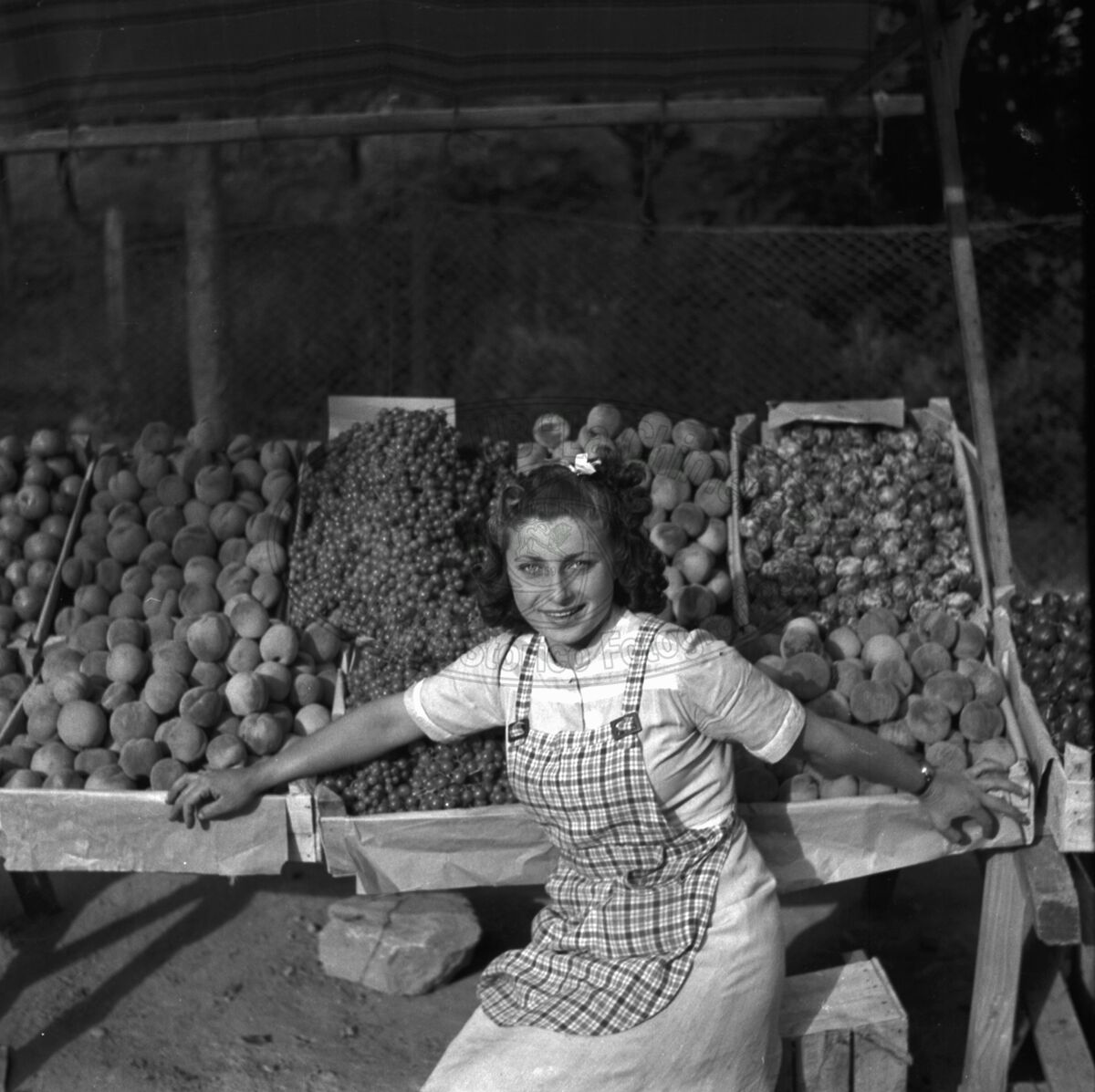 Fruttivendola