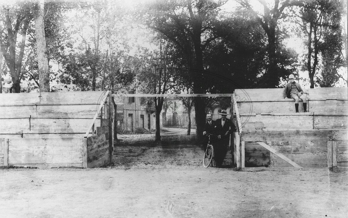 Campo di Marte