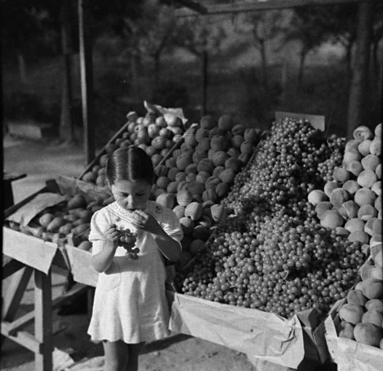 Fruttivendola