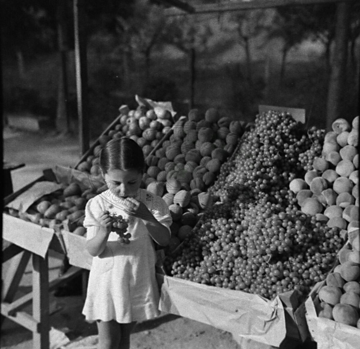 Fruttivendola