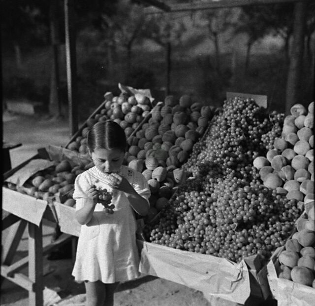 Fruttivendola