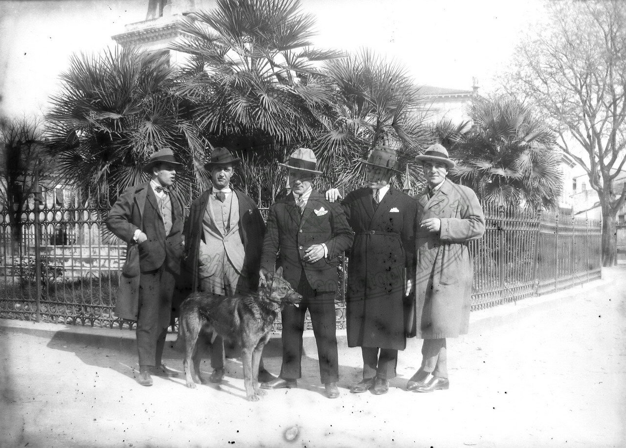 Amici