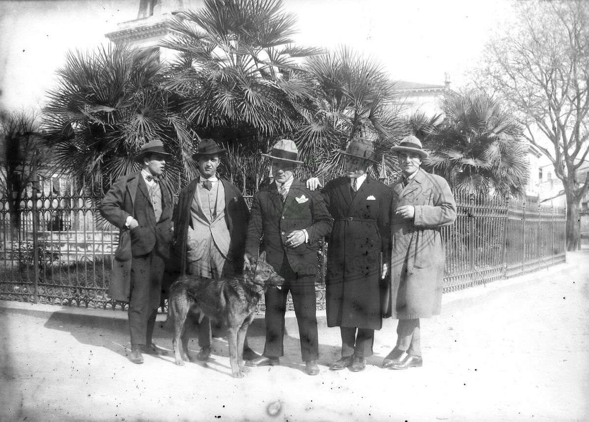 Amici