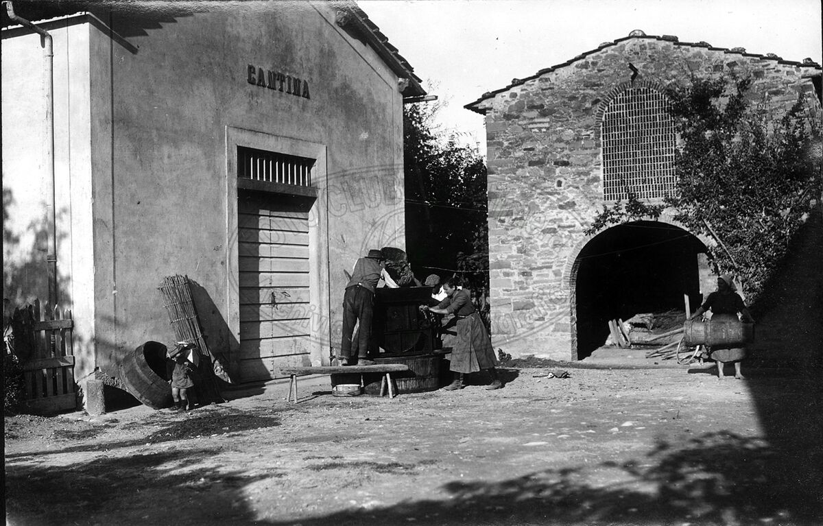 Podere sperimentale