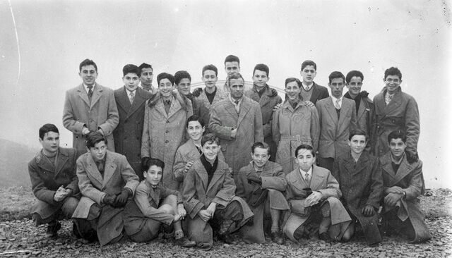 Gruppo di ginnasti