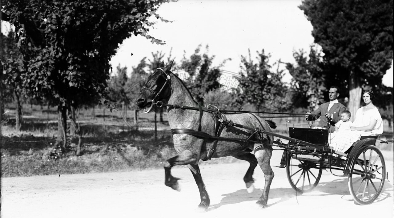 Gita in campagna
