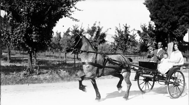 Gita in campagna