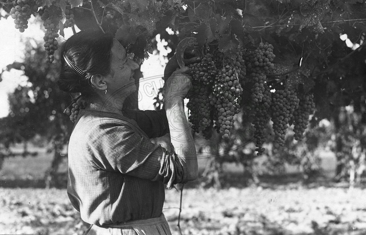 Podere sperimentale