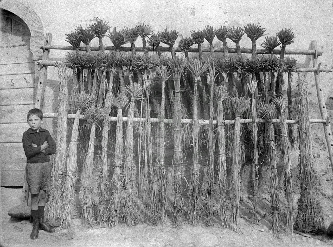 Produzione agraria