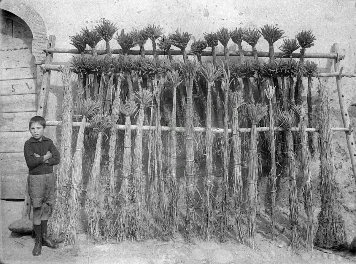 Produzione agraria