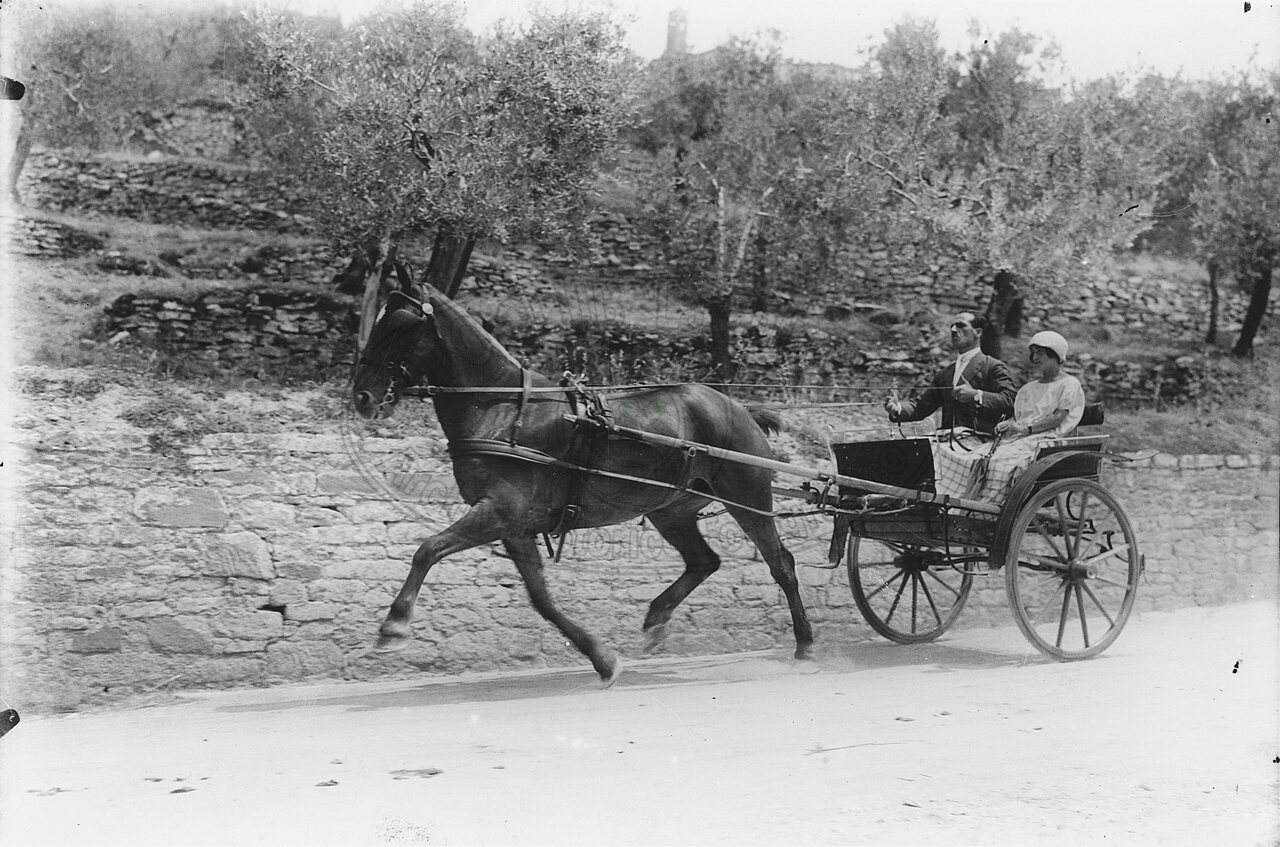 Gita in campagna