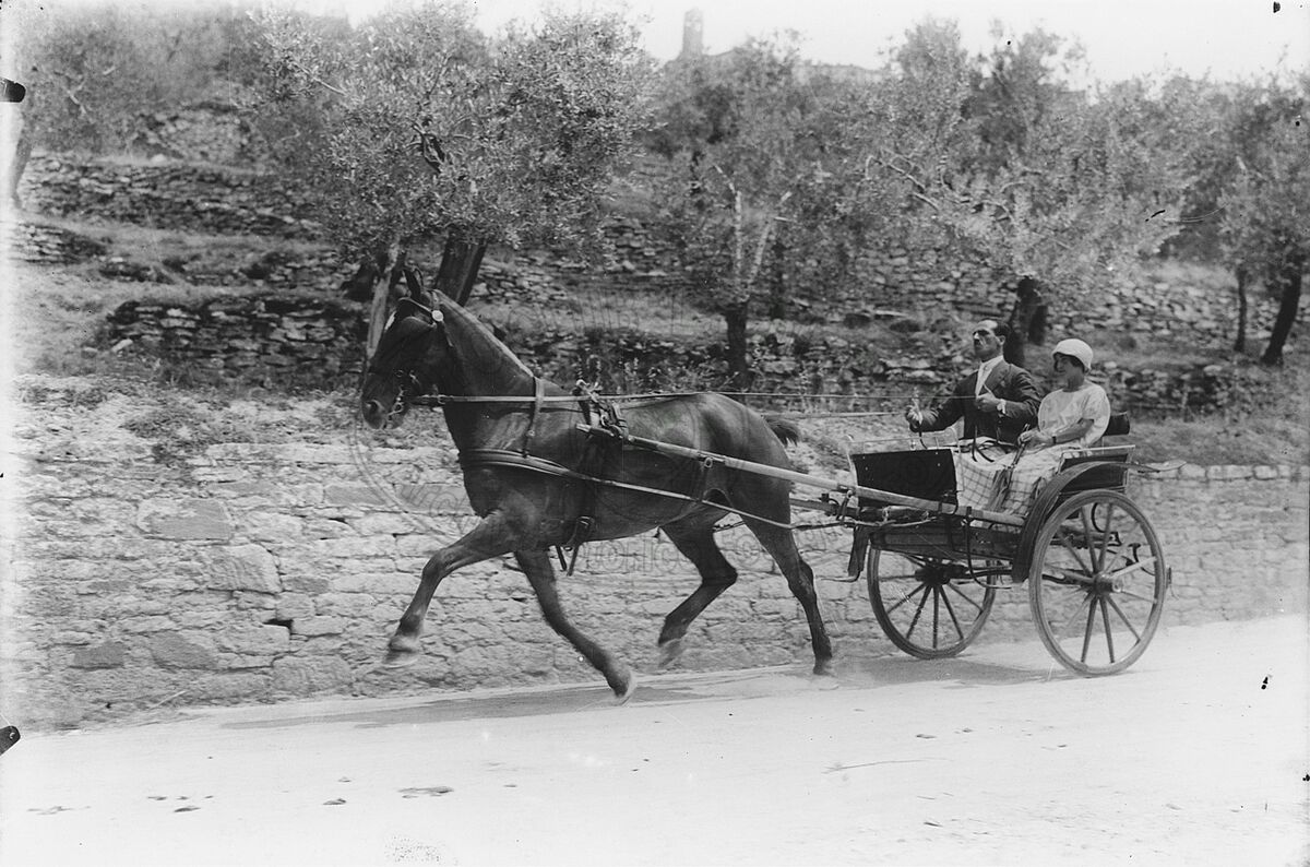 Gita in campagna