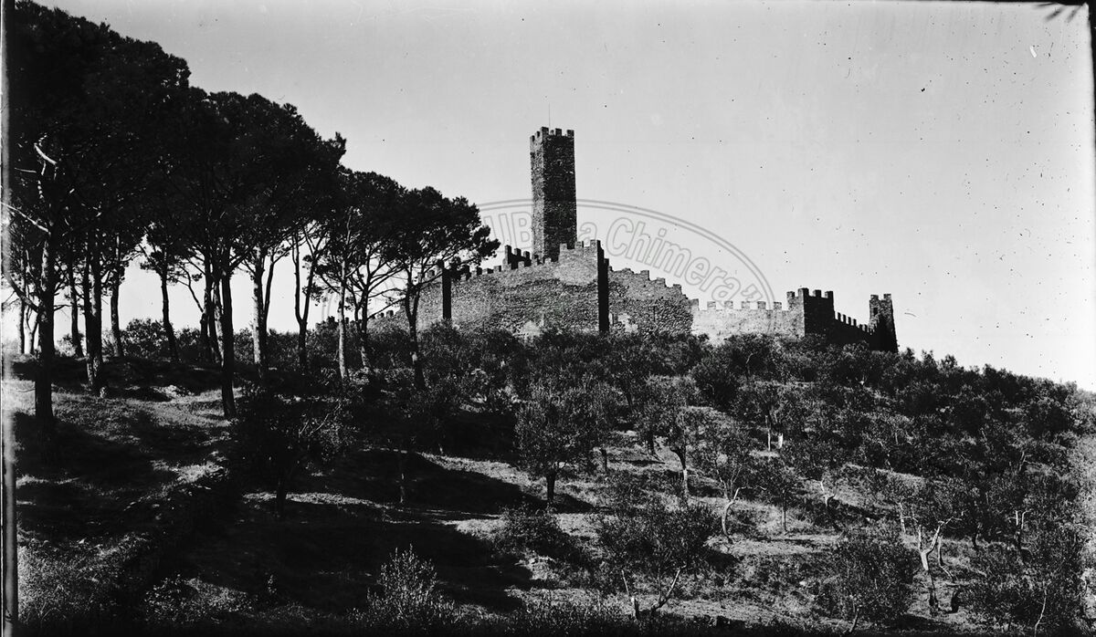Castello di Montecchio - Volponi