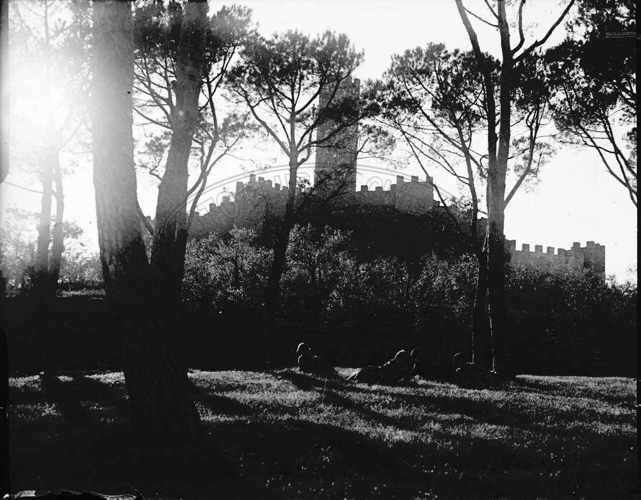 Castello di Montecchio - Volponi in Valdichiana