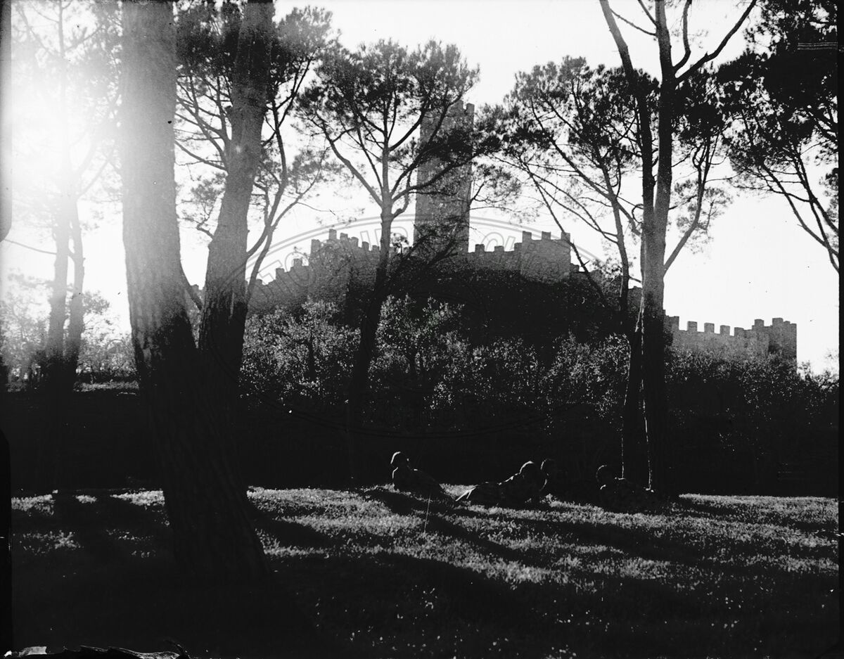 Castello di Montecchio - Volponi in Valdichiana