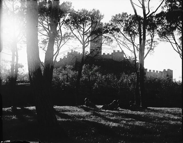 Castello di Montecchio - Volponi in Valdichiana