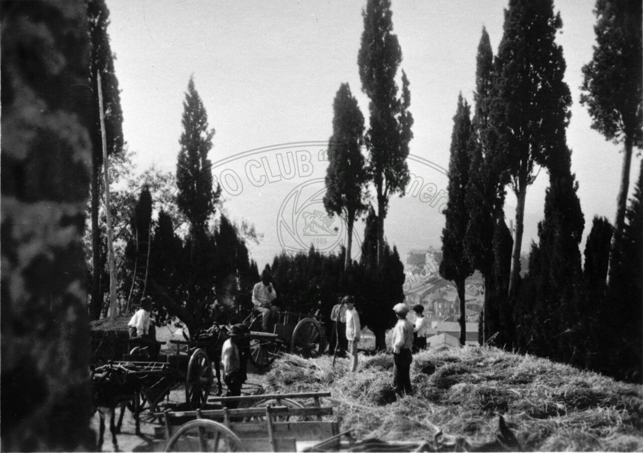 Trasporto delle manne