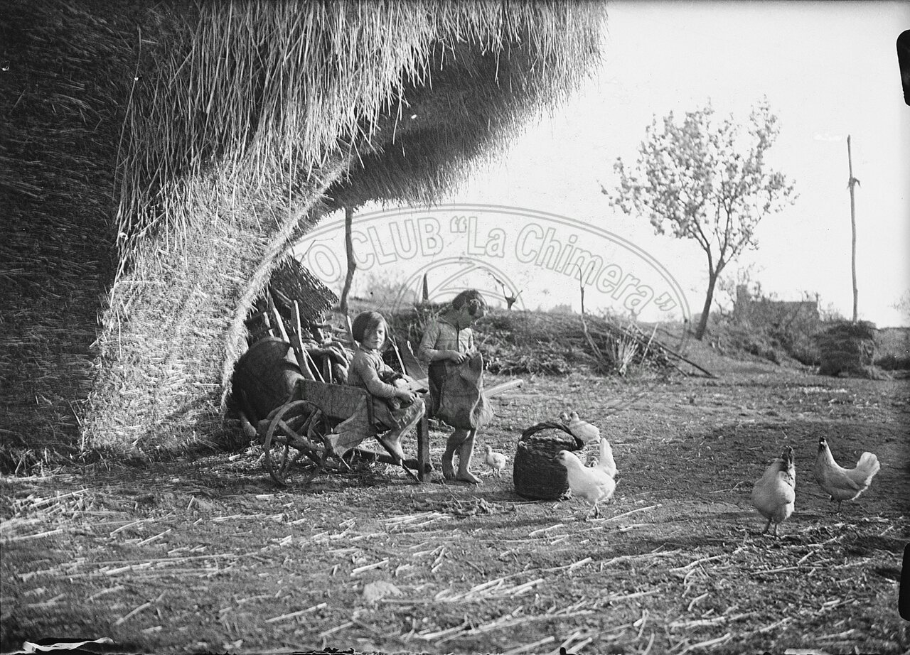Bambine nell’aia