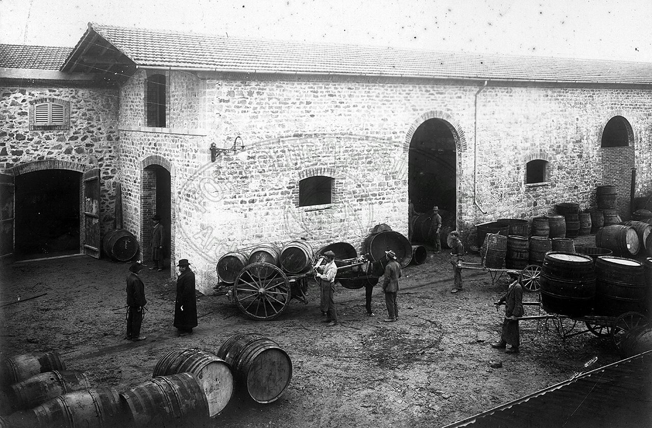 Fattoria