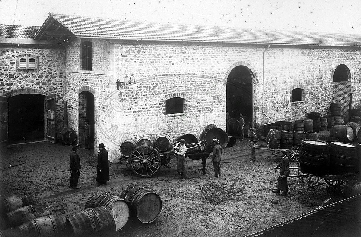 Fattoria