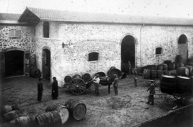 Fattoria