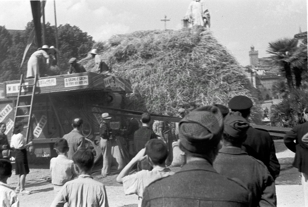 Battaglia del grano