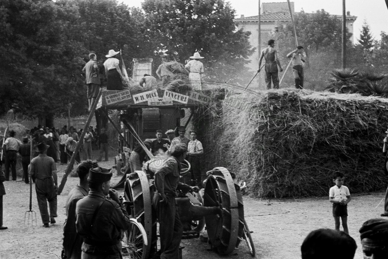 Battaglia del grano