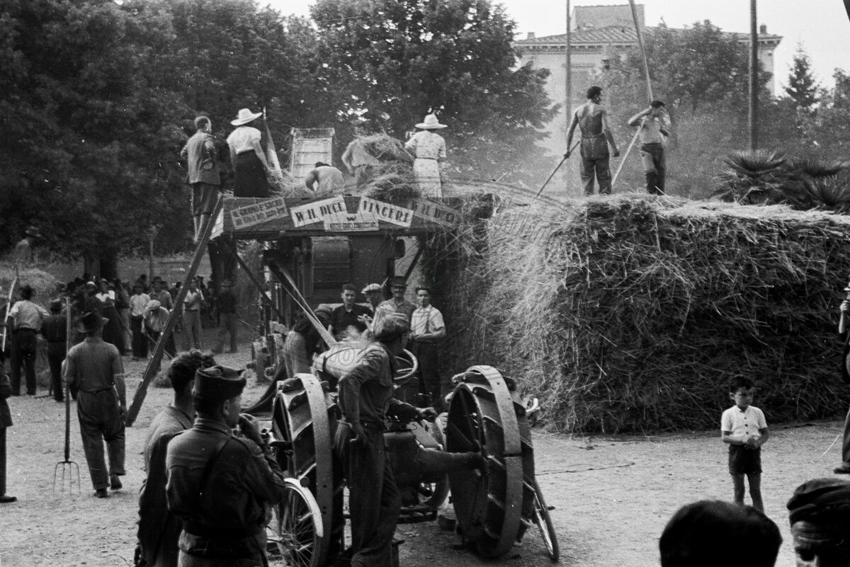 Battaglia del grano