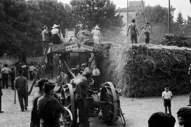 Battaglia del grano