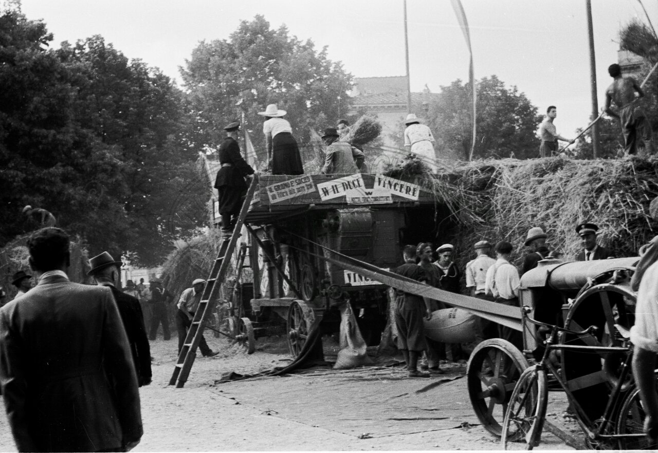 Battaglia del grano