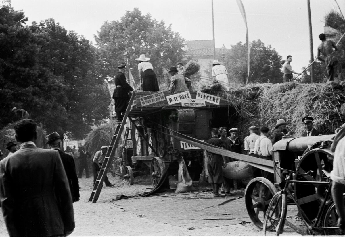Battaglia del grano