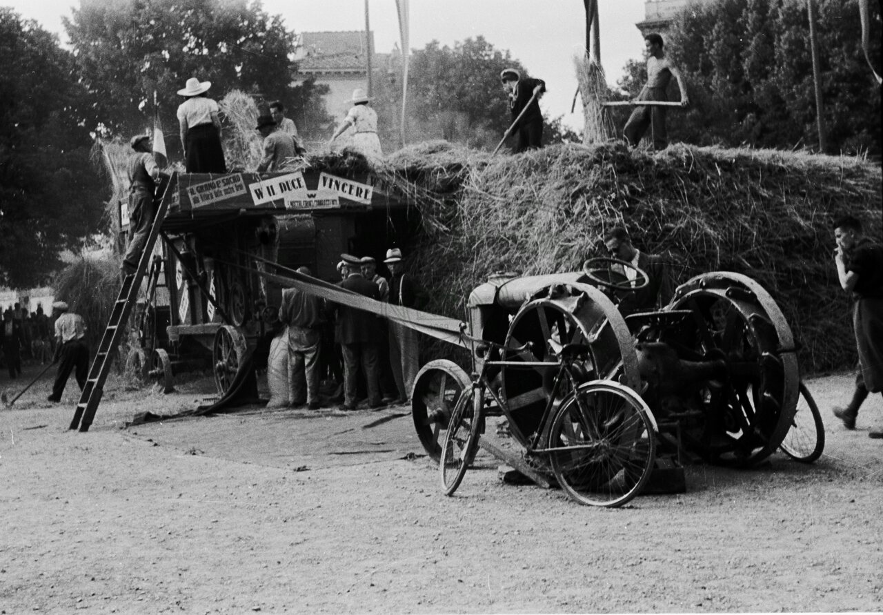 Battaglia del grano