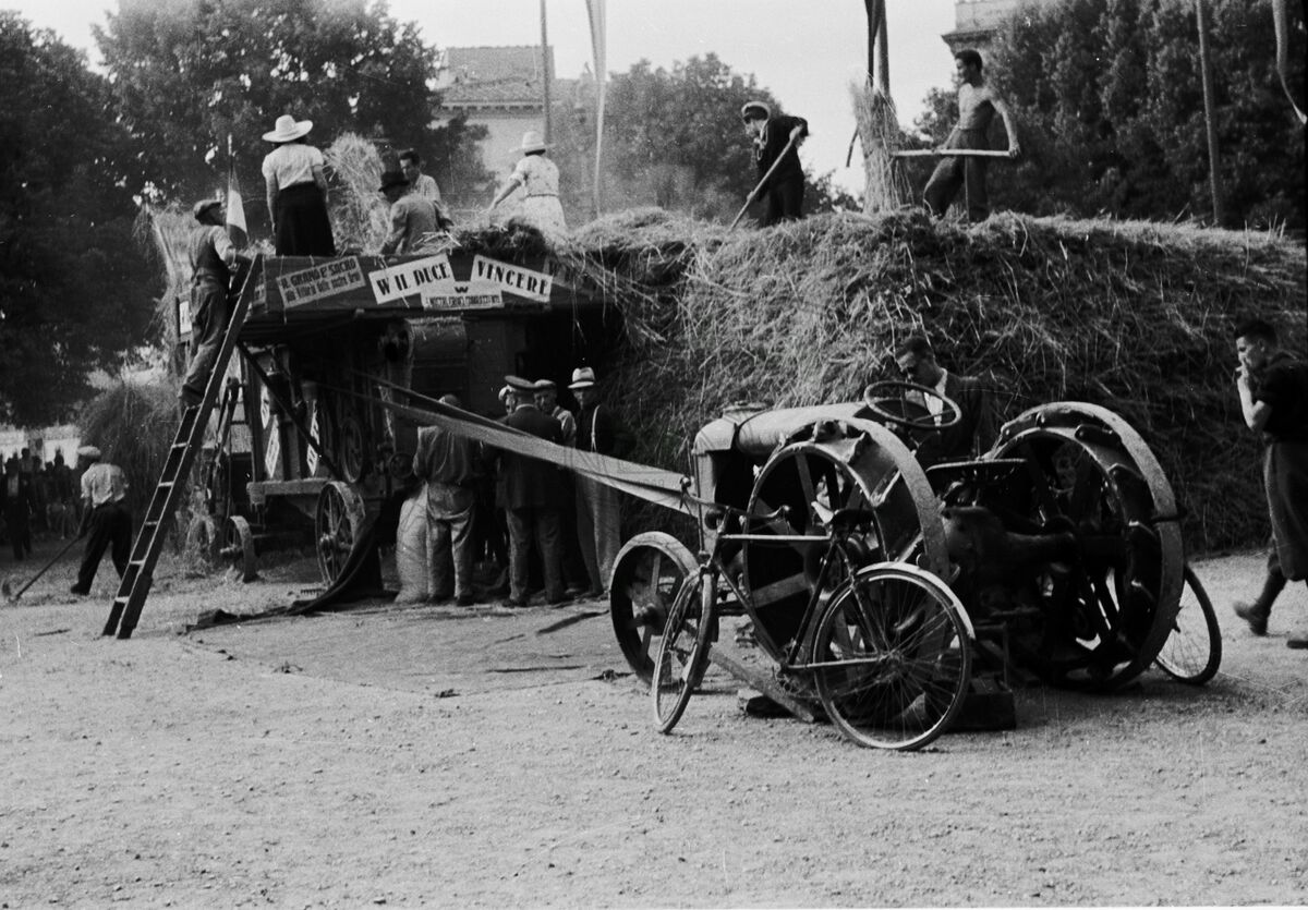 Battaglia del grano