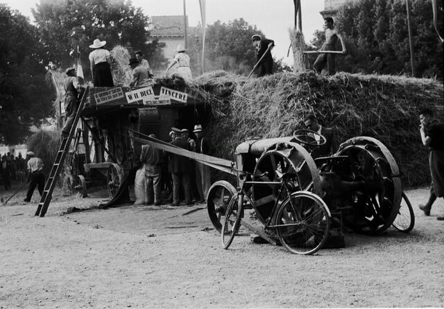 Battaglia del grano