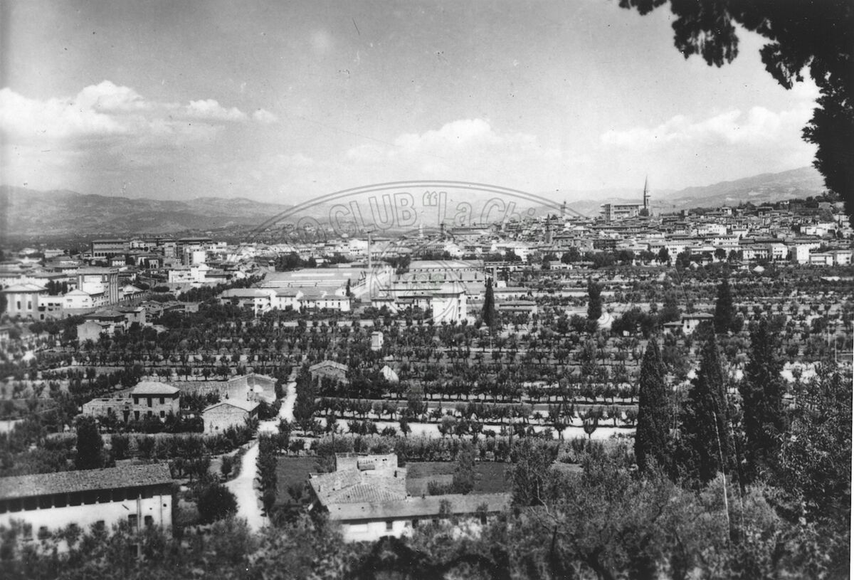 Panorama