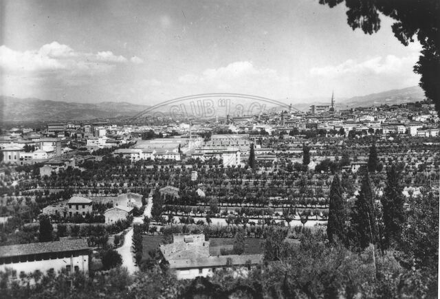 Panorama