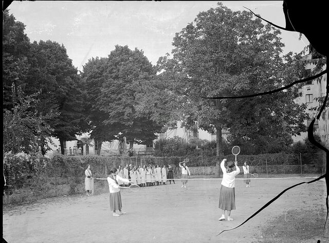 Tenniste