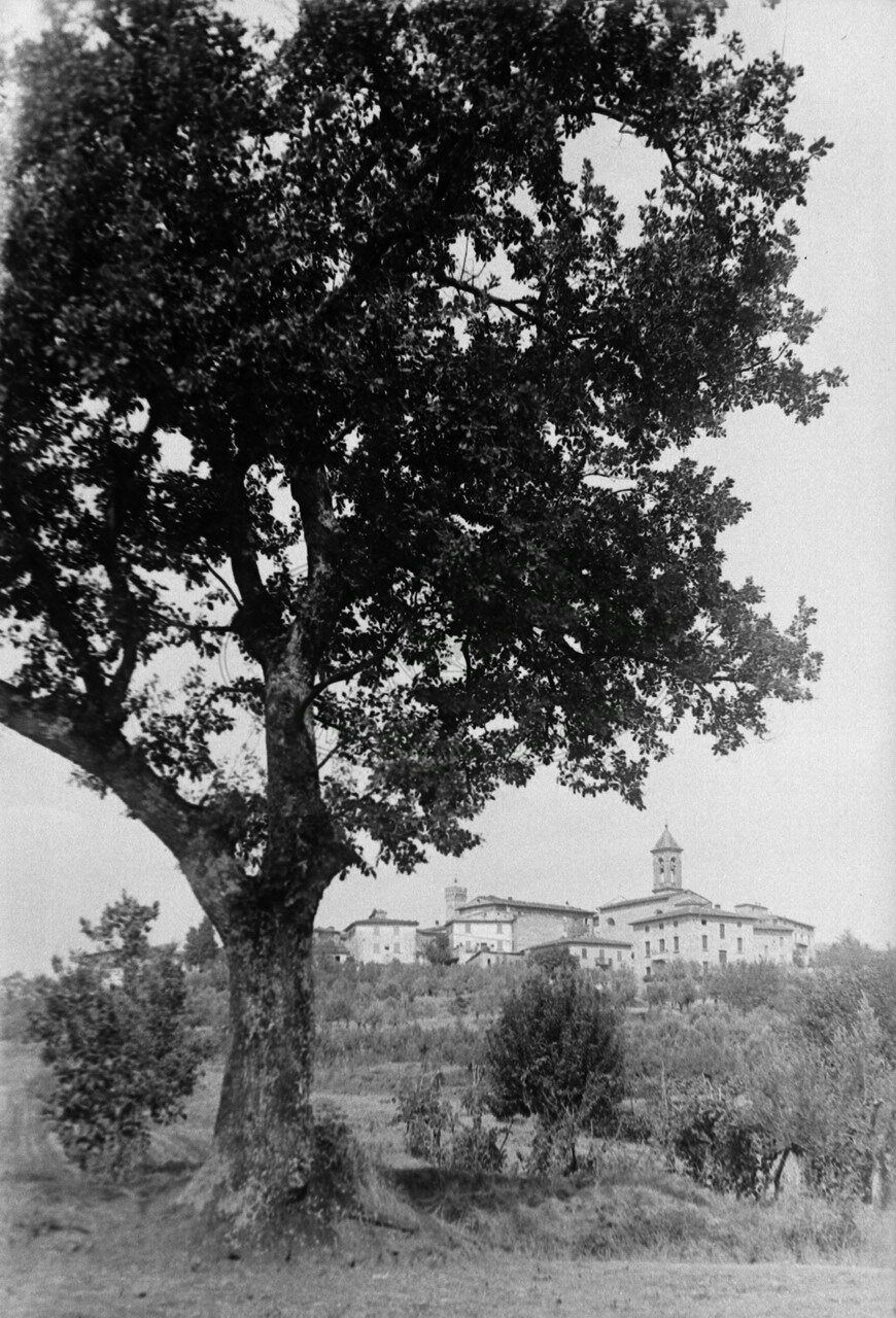 Grande quercia