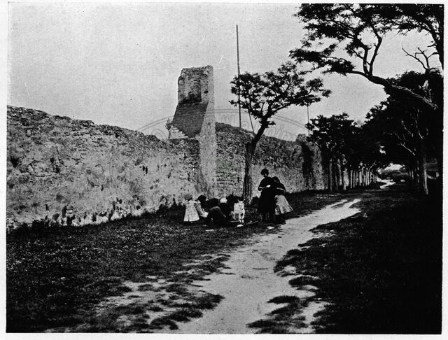 Via del Torrione