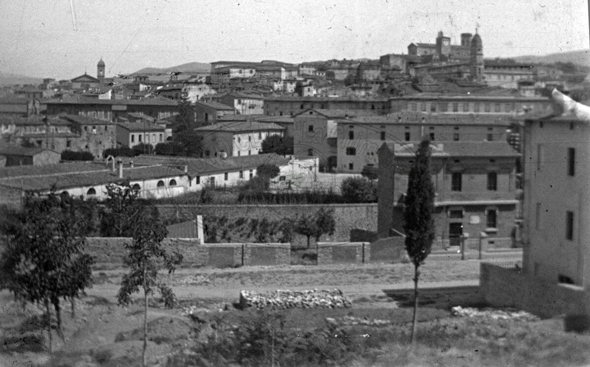 Panorama