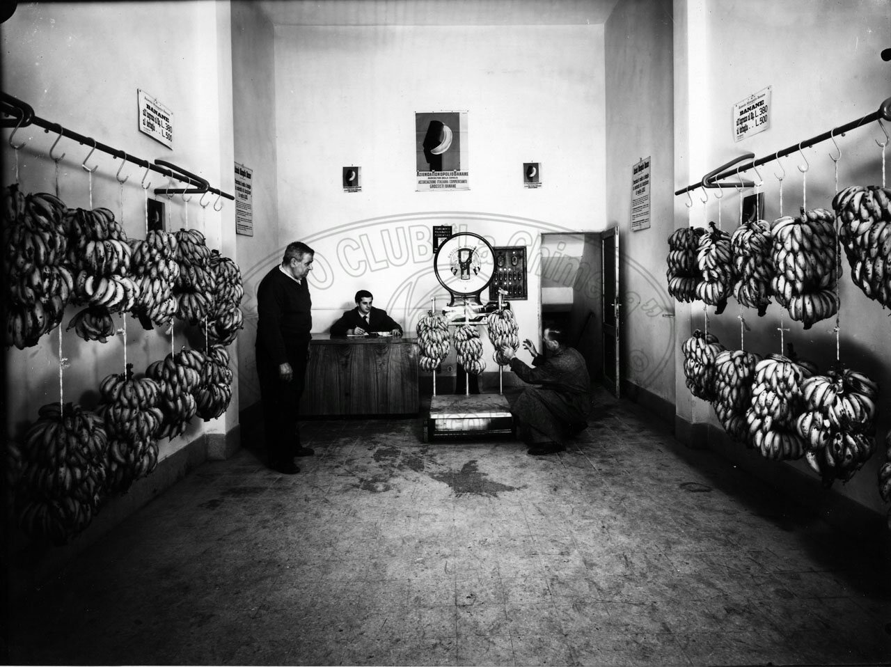 Azienda Monopolio Banane