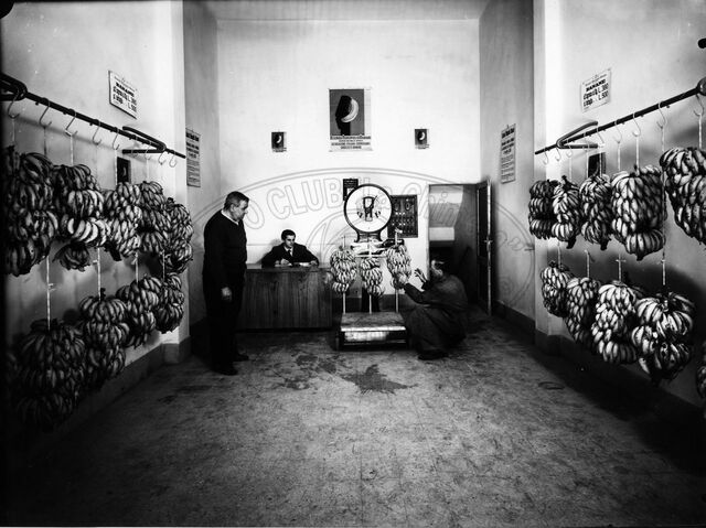 Azienda Monopolio Banane