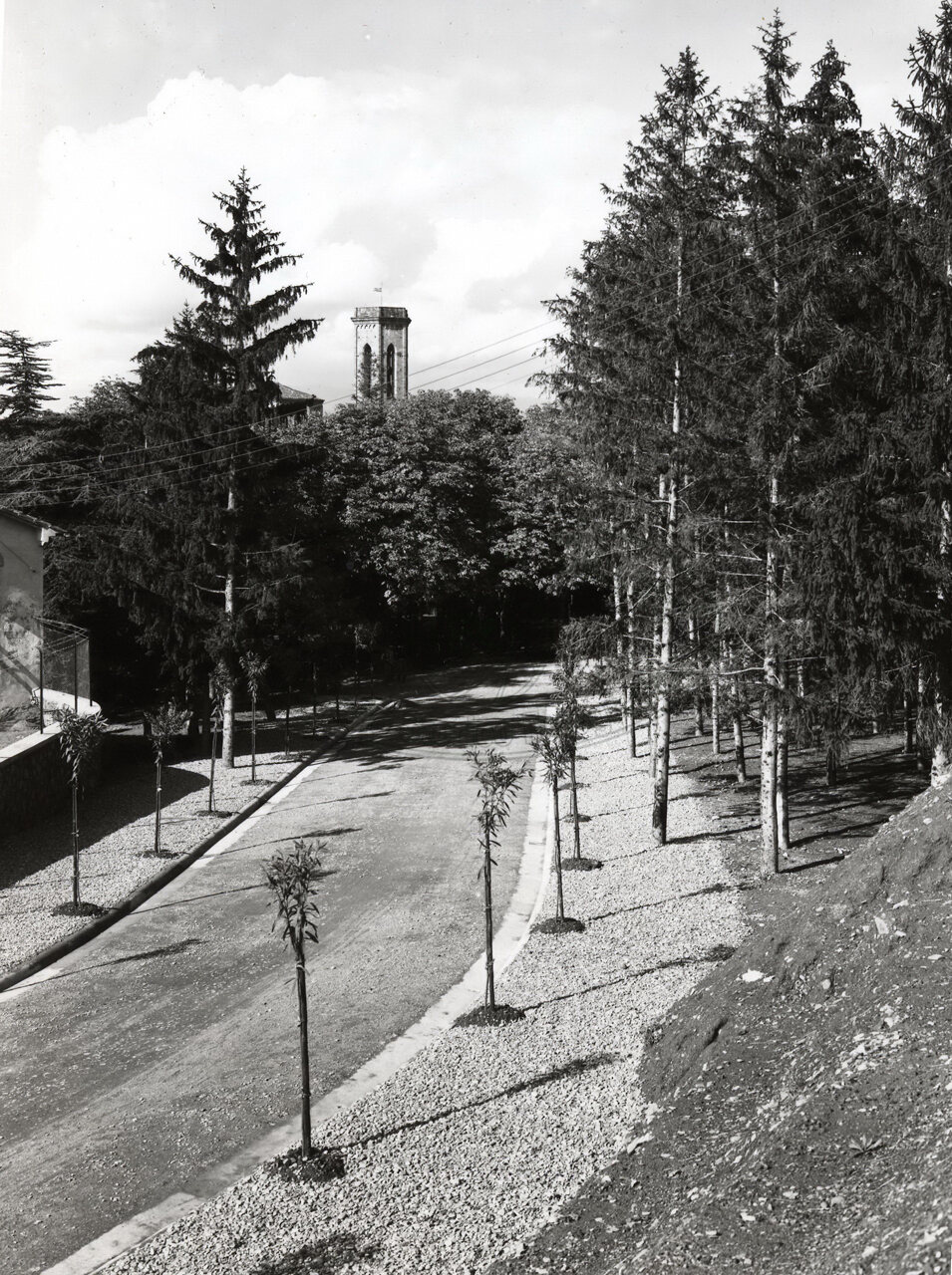 Il nuovo Viale del Re (poi Bruno Buozzi)