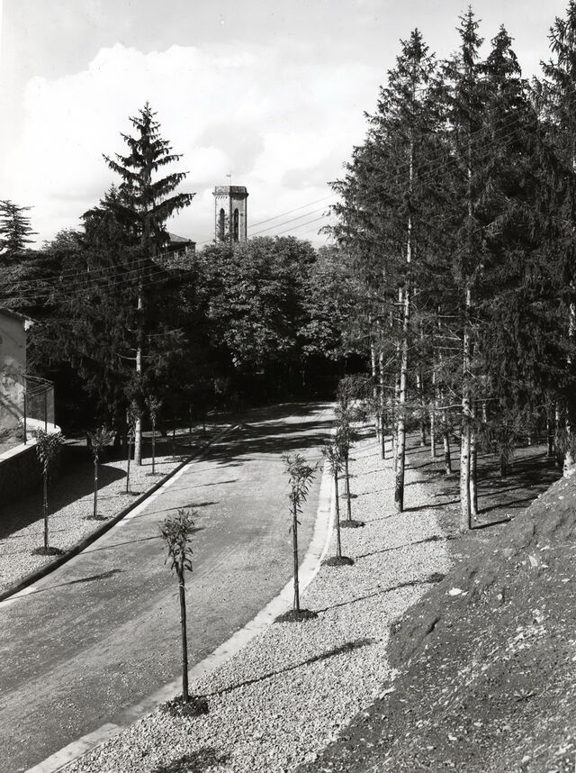Il nuovo Viale del Re (poi Bruno Buozzi)