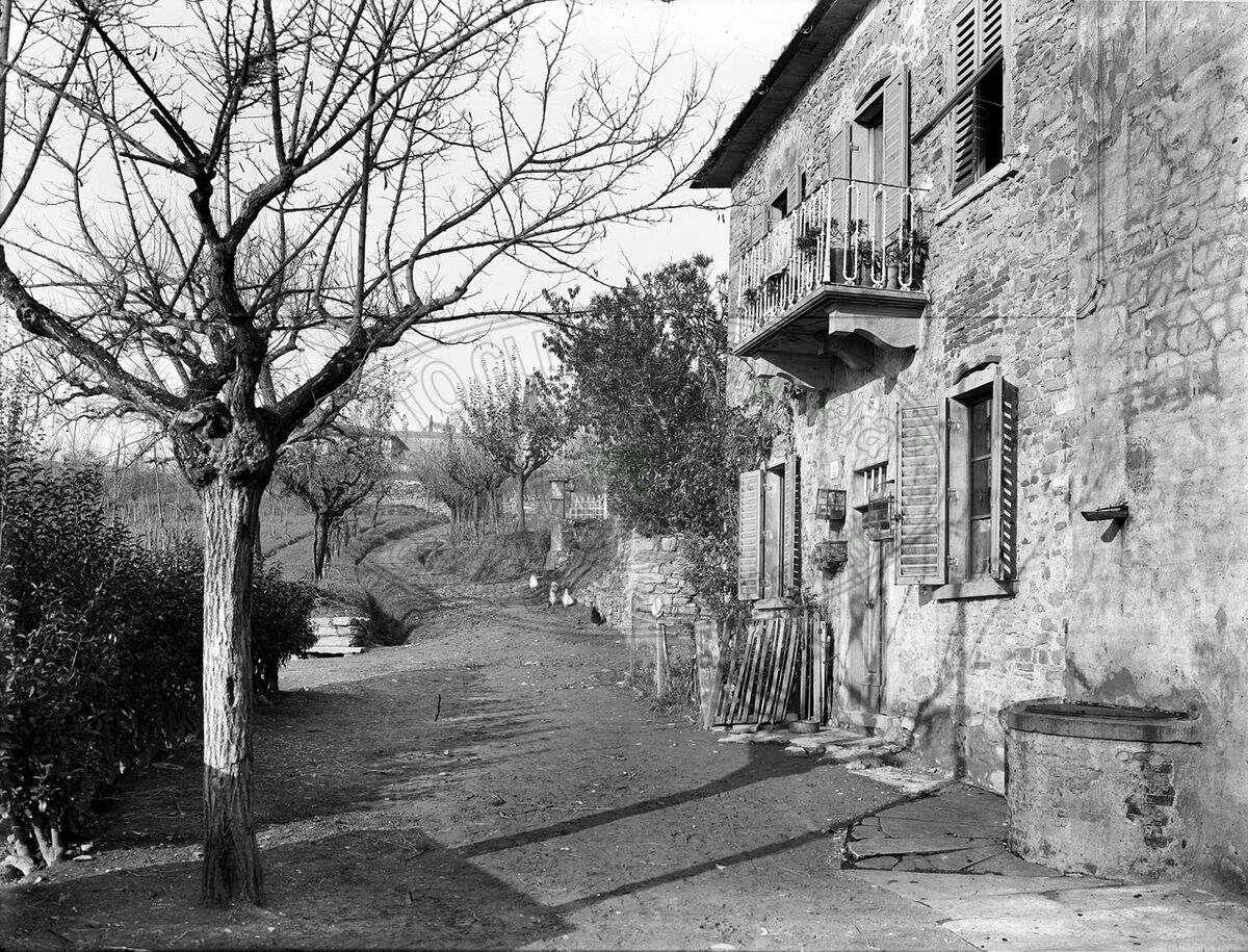 La  “fonte veneziana”