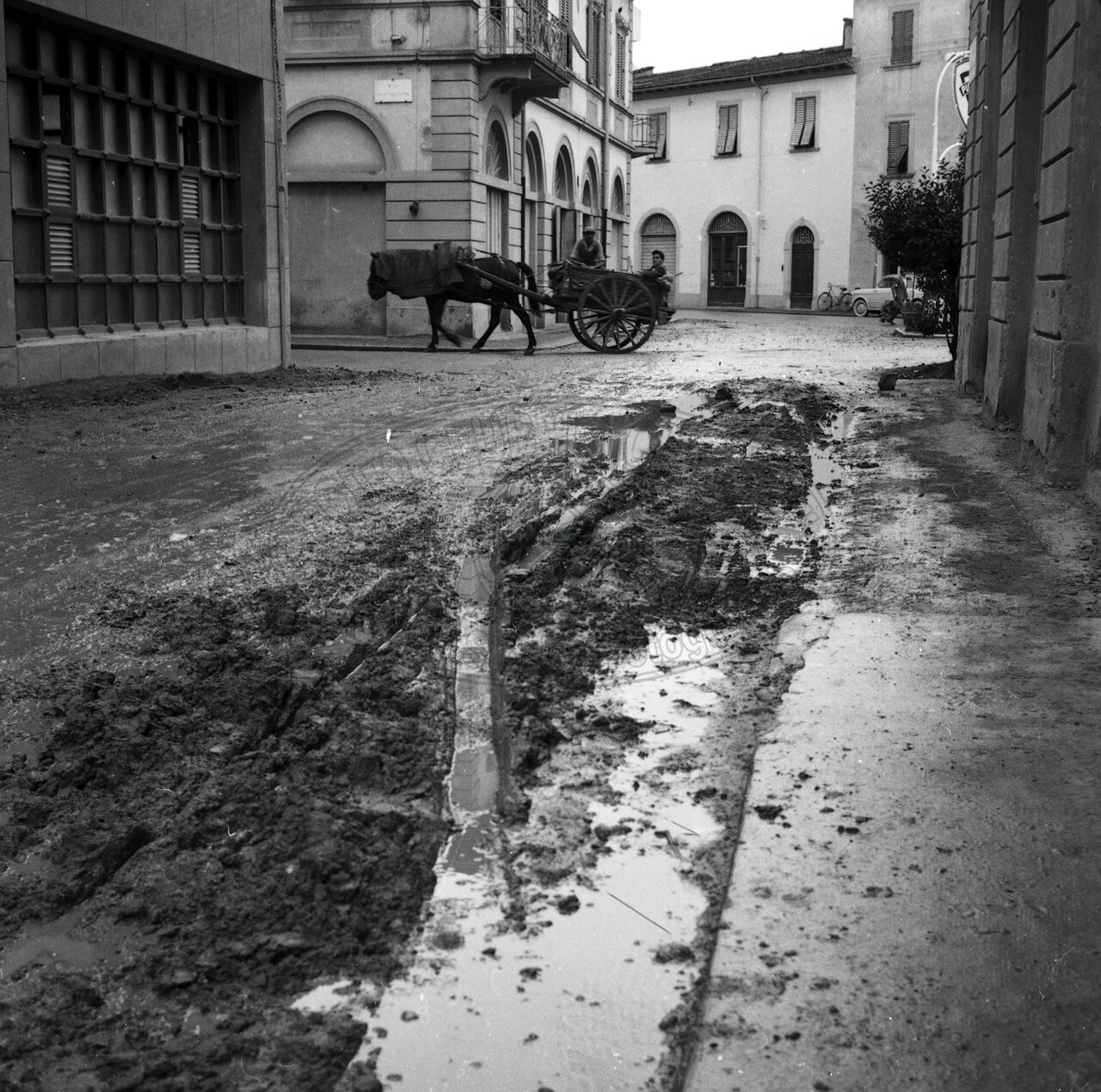 Zona Saione