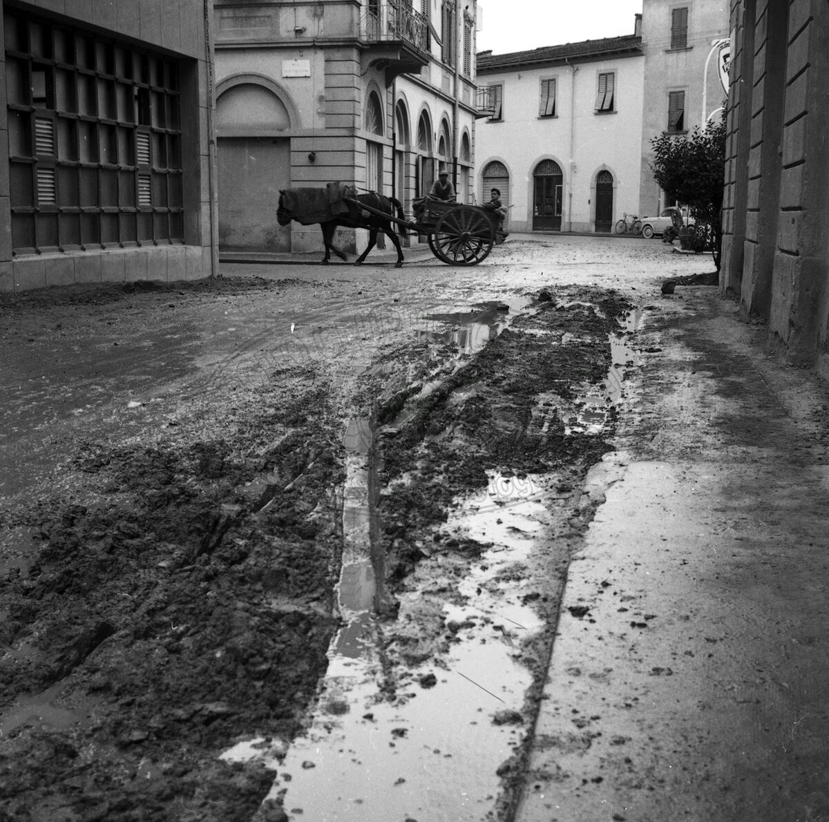 Zona Saione