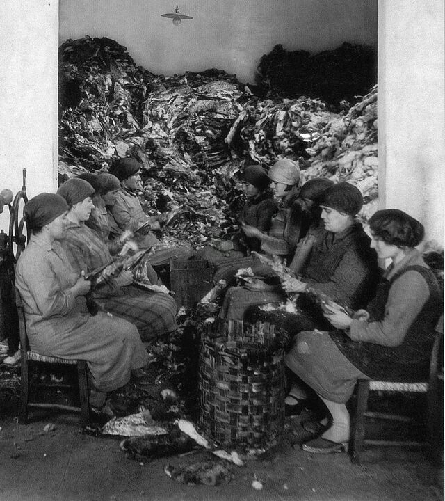 Lavoro femminile
