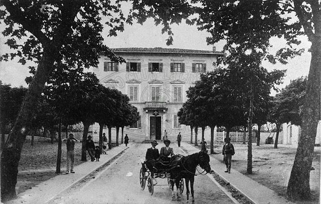 Viale